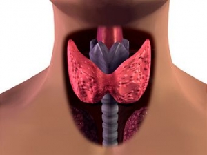 Glándula-tiroidea-I